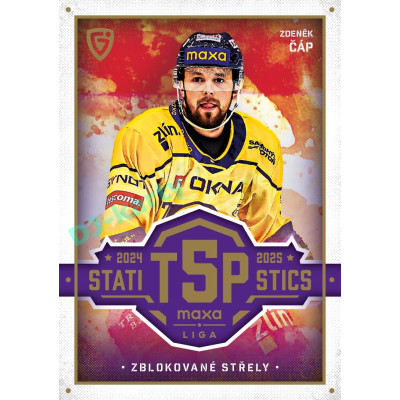 2025/26 Goal Cards Maxa liga #TOP-30 Zdeněk Čáp Top 5 Statistics