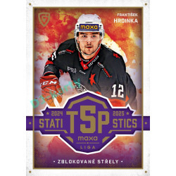 2025/26 Goal Cards Maxa liga #TOP-29 František Hrdinka Top 5 Statistics