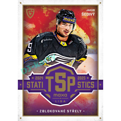 2025/26 Goal Cards Maxa liga #TOP-27 Jakub Šedivý Top 5 Statistics