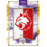2025/26 Goal Cards Maxa liga #C-13 HC Frýdek-Místek Team Logo