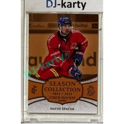 2024/25 LC Repre serie 2 #CHG-02 David Špaček Czech Hockey games 2025