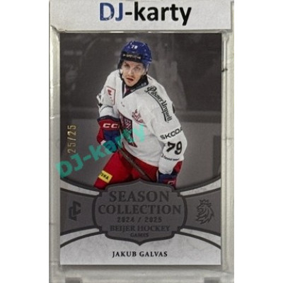 2024/25 LC Repre serie 2 #BHG-08 Jakub Galvas Beijer Hockey Games 2025 Platinum xx/25