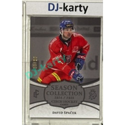 2024/25 LC Repre serie 2 #CHG-02 David Špaček Czech Hockey games 2025 Platinum xx/25