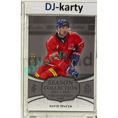 2024/25 LC Repre serie 2 #CHG-02 David Špaček Czech Hockey games 2025 Platinum xx/25