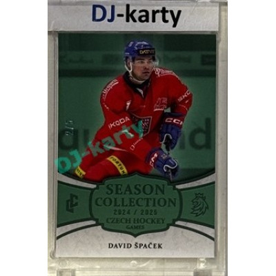 2024/25 LC Repre serie 2 #CHG-02 David Špaček Czech Hockey games 2025 Season Collection Turquoise 2/5
