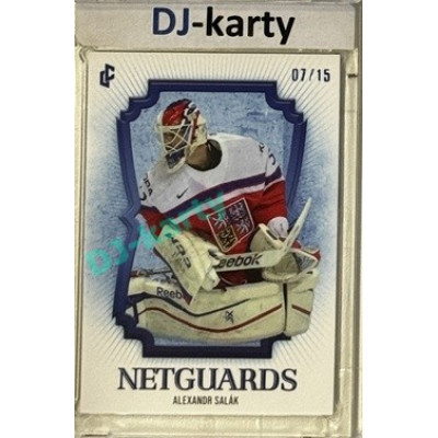 2024/25 LC Repre serie 2 #NG-24 Alexandr Salák Netguards Blue 07/15
