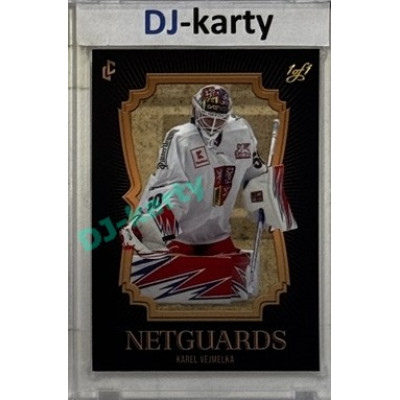 2024/25 LC Repre serie 2 #NG-21 Karel Vejmelka Netguards Black 1of1
