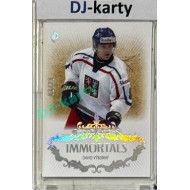 2024/25 LC Repre serie 2 #IM-40 David Výborný Immortals Neon 02/29