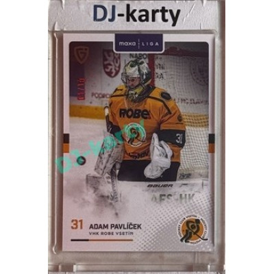 2025/26 Goal Cards Maxa liga #VSE-02 Adam Pavlíček Parallel 01/10