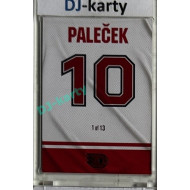 2024 Dynamo100 #036 Pod stropem 10 - Josef Paleček Red 1of13