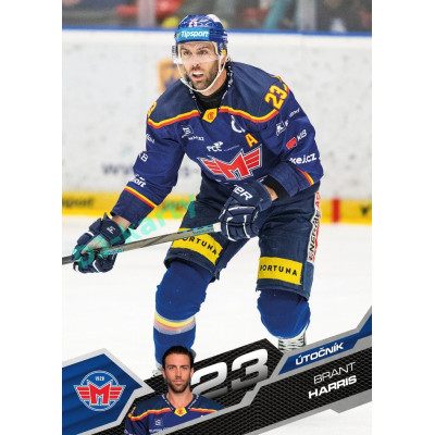 2025/26 Sportzoo ELH 1. serie #101 Brant Harris