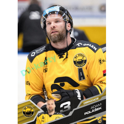 2025/26 Sportzoo ELH 1. serie #151 Adam Polášek