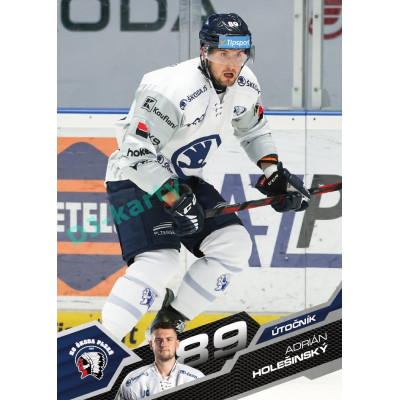 2025/26 Sportzoo ELH 1. serie #172 Adrián Holešinský