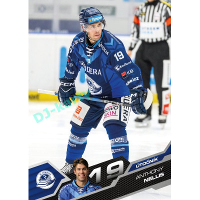 2025/26 Sportzoo ELH 1. serie #213 Anthony Nellis