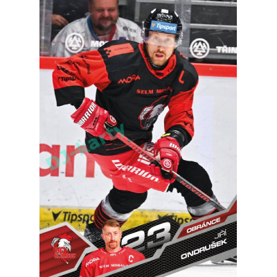 2025/26 Sportzoo ELH 1. serie #239 Jiří Ondrušek