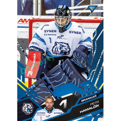 2025/26 Sportzoo ELH 1. serie #181 Petr Hamalčík Azure Blue