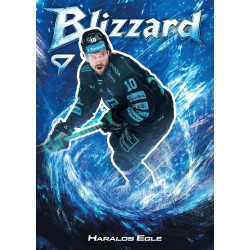 2025/26 Sportzoo ELH 1. serie #BL-15 Haralds Egle Blizzard