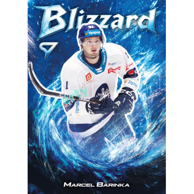 2025/26 Sportzoo ELH 1. serie #BL-40 Marcel Barinka Blizzard
