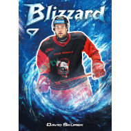 2025/26 Sportzoo ELH 1. serie #BL-43 David Škůrek Blizzard