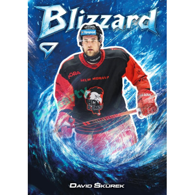 2025/26 Sportzoo ELH 1. serie #BL-43 David Škůrek Blizzard