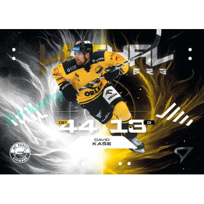 2025/26 Sportzoo ELH 1. serie #LC-17 David Kaše Lethal Cannoneers 