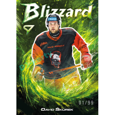 2025/26 Sportzoo ELH 1. serie #BL-43 David Škůrek Blizzard Forest Green xx/99