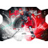 2025/26 Sportzoo ELH 1. serie #LC-07 Aleš Jergl Lethal Cannoneers Misty Silver xx/50