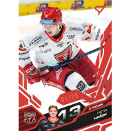 2025/26 Sportzoo ELH 1. serie #062 Petr Hašek Ruby Red xx/25