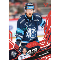 2025/26 Sportzoo ELH 1. serie #196 Filip Sandberg Ruby Red xx/25