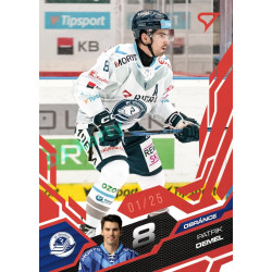 2025/26 Sportzoo ELH 1. serie #203 Patrik Demel Ruby Red xx/25