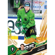 2025/26 Sportzoo ELH 1. serie #120 Vojtěch Malínek Amber Gold xx/10