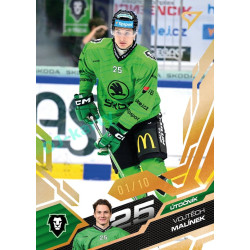 2025/26 Sportzoo ELH 1. serie #120 Vojtěch Malínek Amber Gold xx/10
