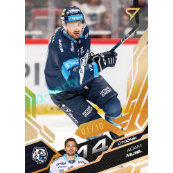 2025/26 Sportzoo ELH 1. serie #190 Adam Musil Amber Gold xx/10