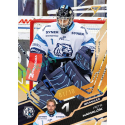 2025/26 Sportzoo ELH 1. serie #181 Petr Hamalčík Amber Gold xx/10
