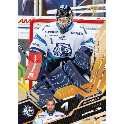 2025/26 Sportzoo ELH 1. serie #181 Petr Hamalčík Amber Gold xx/10