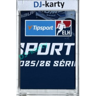 2025/26 Sportzoo ELH 1. serie #08 Puzzle Quest