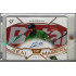2025/26 Sportzoo ELH 1. serie #SMS-FP Filip Pyrochta Seal of Mystery Gold Auto 14/35