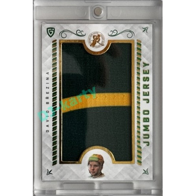 2025 Goal Cards Fenomén Vsetín Premium #02 David Březina Jumbo 19/35