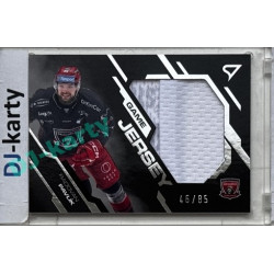 2025/26 Sportzoo ELH 1. serie #GJ-RP Radovan Pavlík Game Jersey Silver 46/85