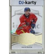 24/25 LC Repre série 2 Collectors Edition #CHG-02 David Špaček Season Collection Czech Hockey Games 2025 Platinum xx/18