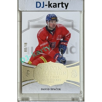 24/25 LC Repre série 2 Collectors Edition #CHG-02 David Špaček Season Collection Czech Hockey Games 2025 Platinum xx/18