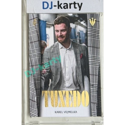 24/25 LC Repre série 2 Collectors Edition #TUX-10 Karel Vejmelka Tuxedo Gold xx/29