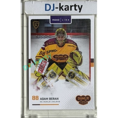 2025/26 Goal Cards Maxa liga #JIH-01 Adam Beran Canvas