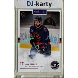 2025/26 Goal Cards Maxa liga #LIT-13  Jan Eberle Canvas