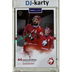2025/26 Goal Cards Maxa liga #FMI-12 David Ostřížek Canvas