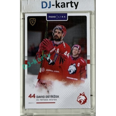 2025/26 Goal Cards Maxa liga #FMI-12 David Ostřížek Canvas