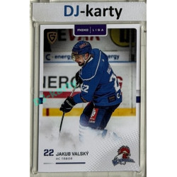 2025/26 Goal Cards Maxa liga #TAB-09 Jakub Valský Canvas