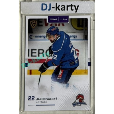 2025/26 Goal Cards Maxa liga #TAB-09 Jakub Valský Canvas