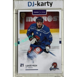 2025/26 Goal Cards Maxa liga #TAB-10 Lukáš Pech Canvas