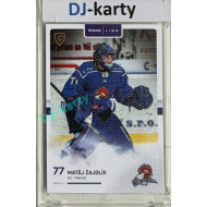 2025/26 Goal Cards Maxa liga #TAB-02 Matěj Žajdlík Canvas